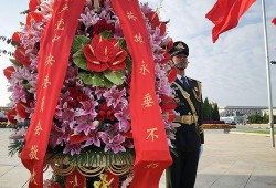 花篮网最新爆料新闻视频,最新爆料新闻视频深度解析